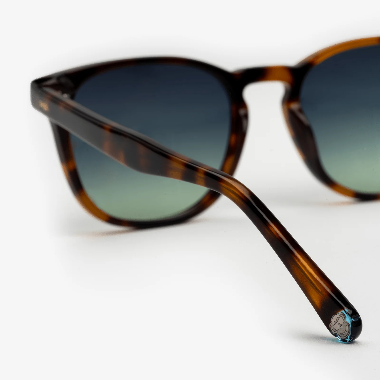 Chelsea Tortoise - Image 3