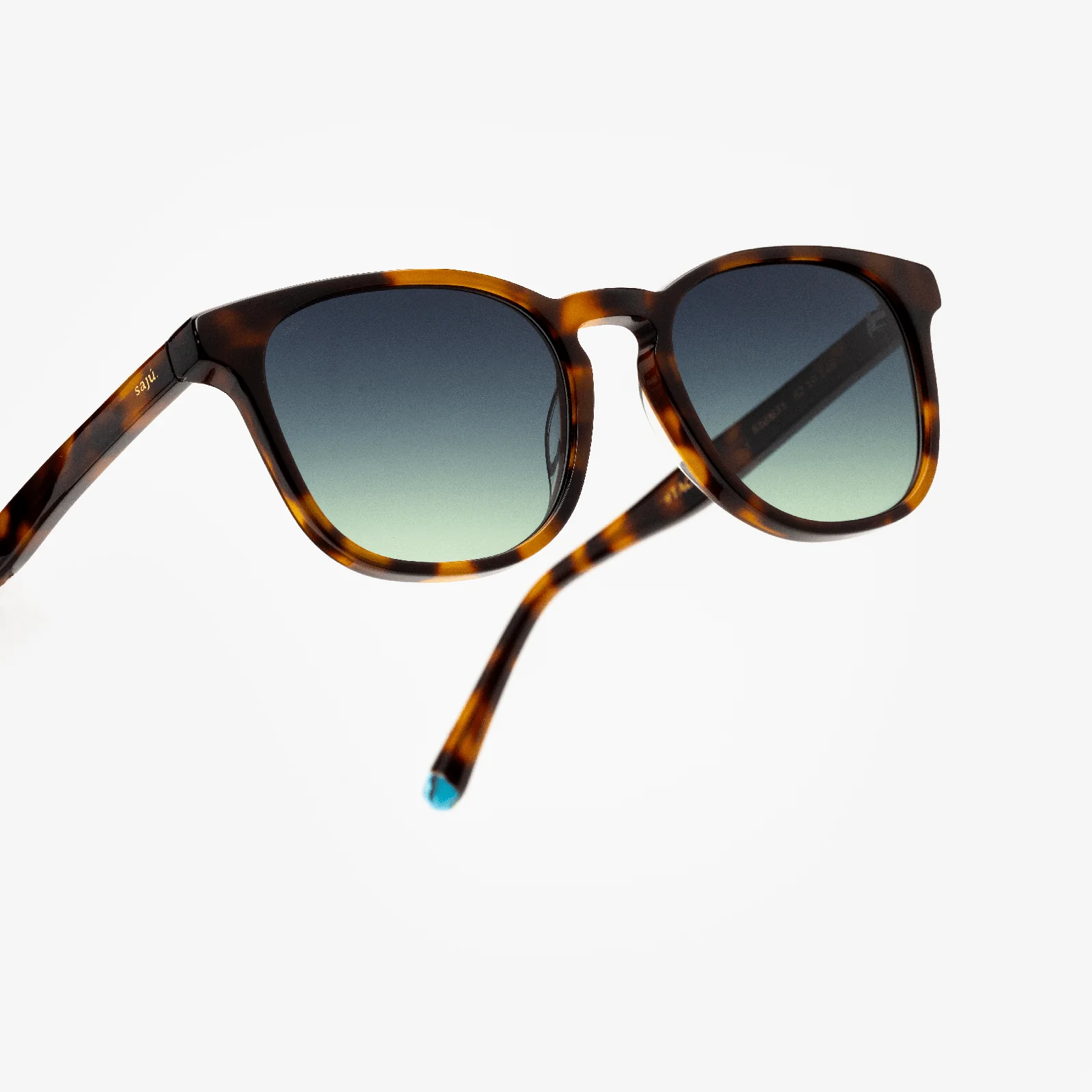 Chelsea Tortoise - Image 4