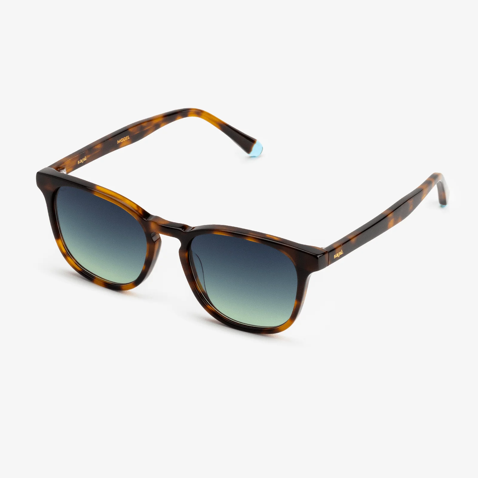 Chelsea Tortoise - Image 5